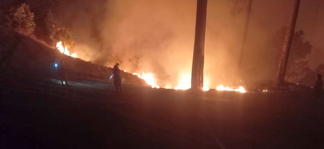 A massive fire broke out in the forests of Lohaghat, Barakot and Pati.