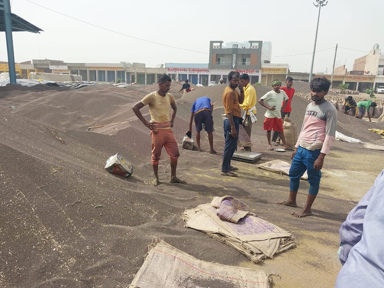 Farmer brings 1 quintal of grain, 'system' eats 1 kg