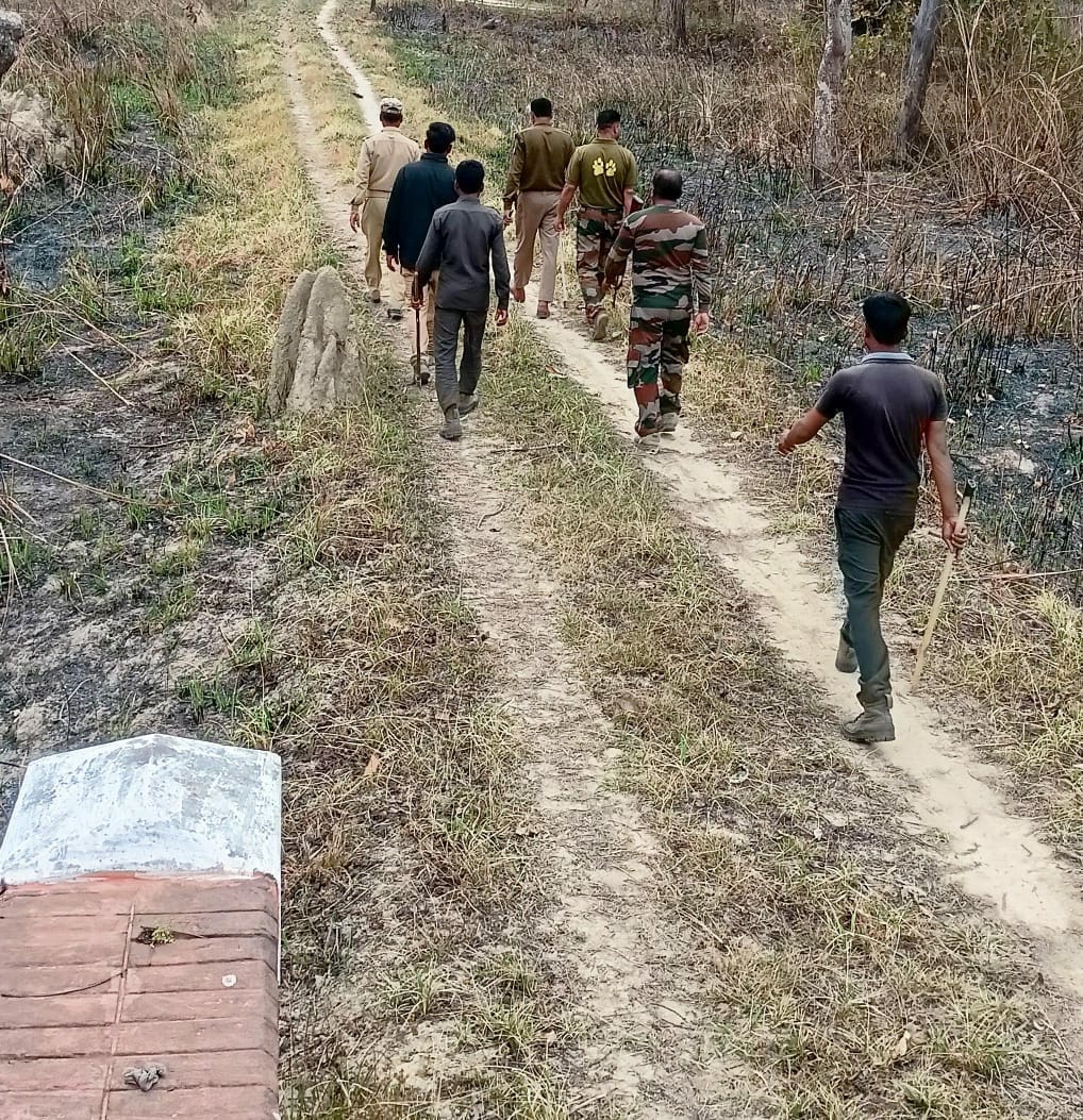 Daily forest saving workers facing financial crisis
