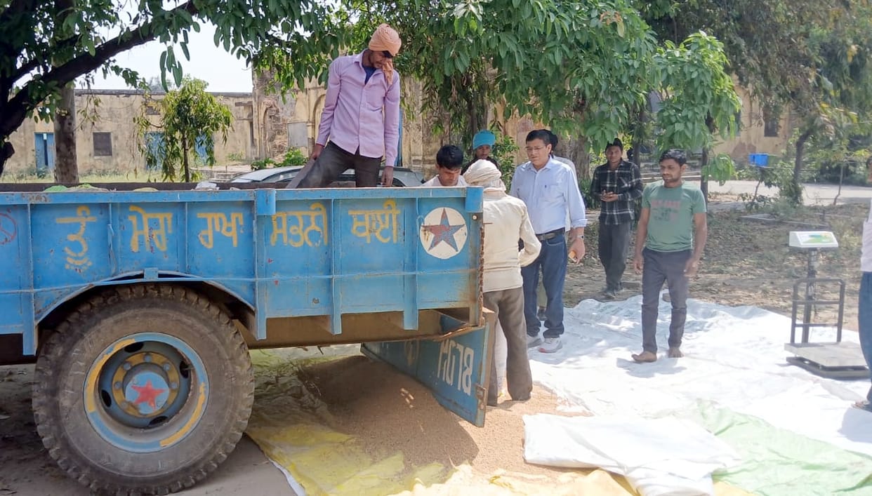 1230.85 MT of wheat procurement at government centers