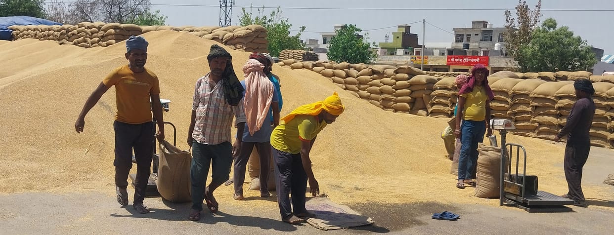 Bought 11060 quintals of wheat in Dadri Mandi and 2626 quintals of wheat in Badhra Mandi.