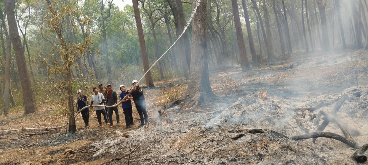 Fire blazes in the forest of Boom Forest Range, report filed against unknown