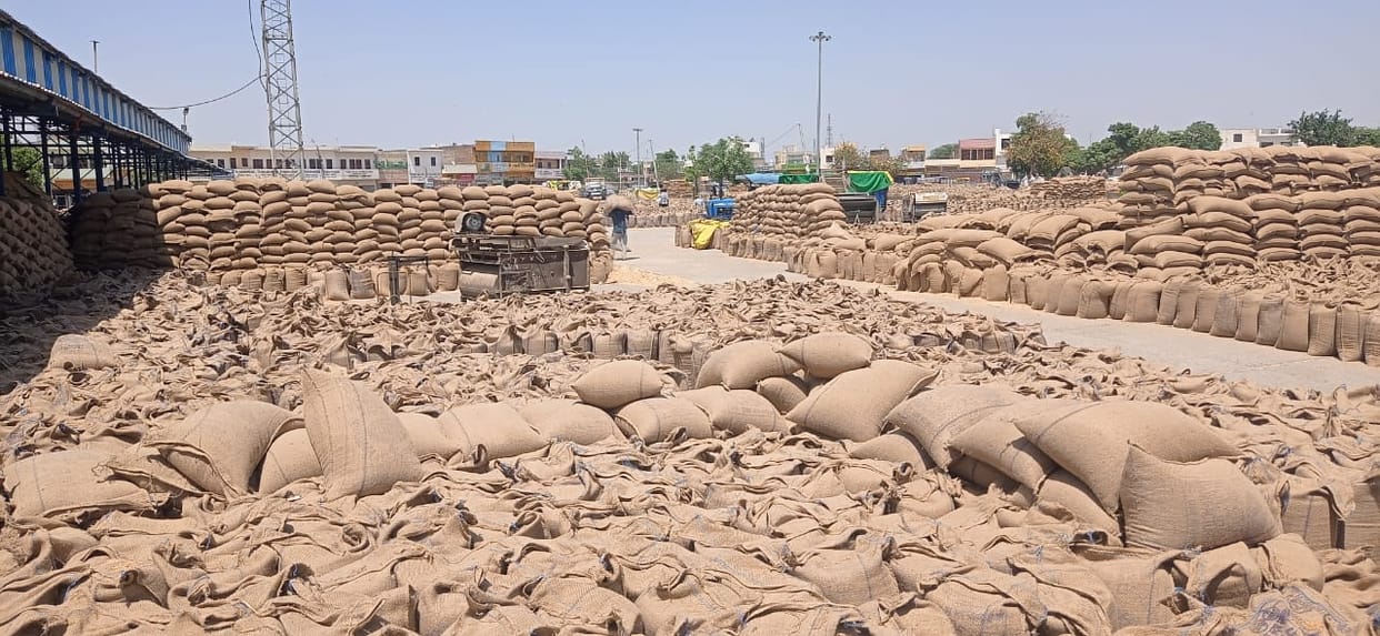 Three lakh quintals more wheat has reached the markets so far compared to last year