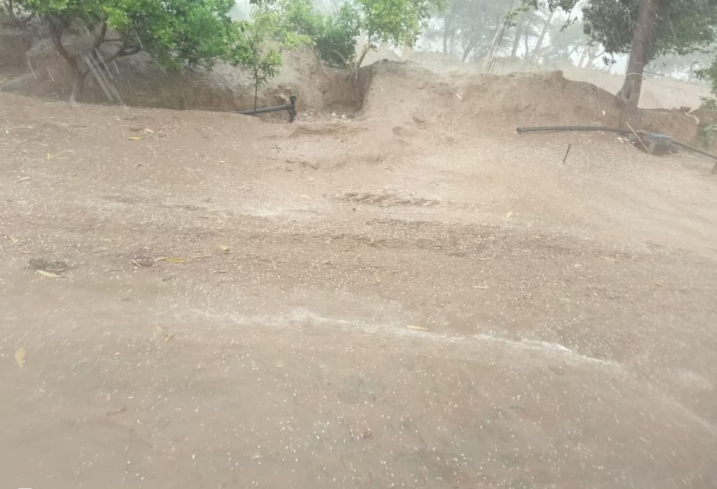More than 30 villages in Mahendragarh and Kanina area received five minutes of hail