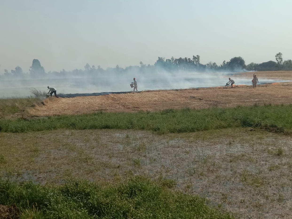 Hundreds of acres of plantations and many huts were burnt in Rajpur area.