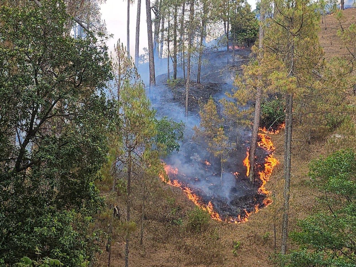 Fire from forests reached homes, loss worth lakhs