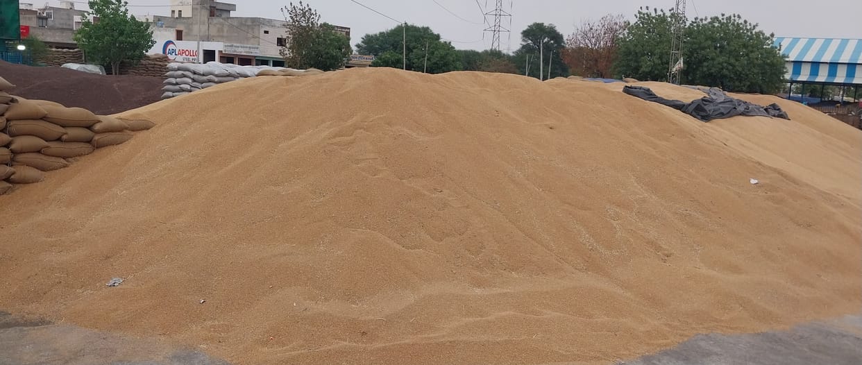Farmers waited all day, procurement started in the evening