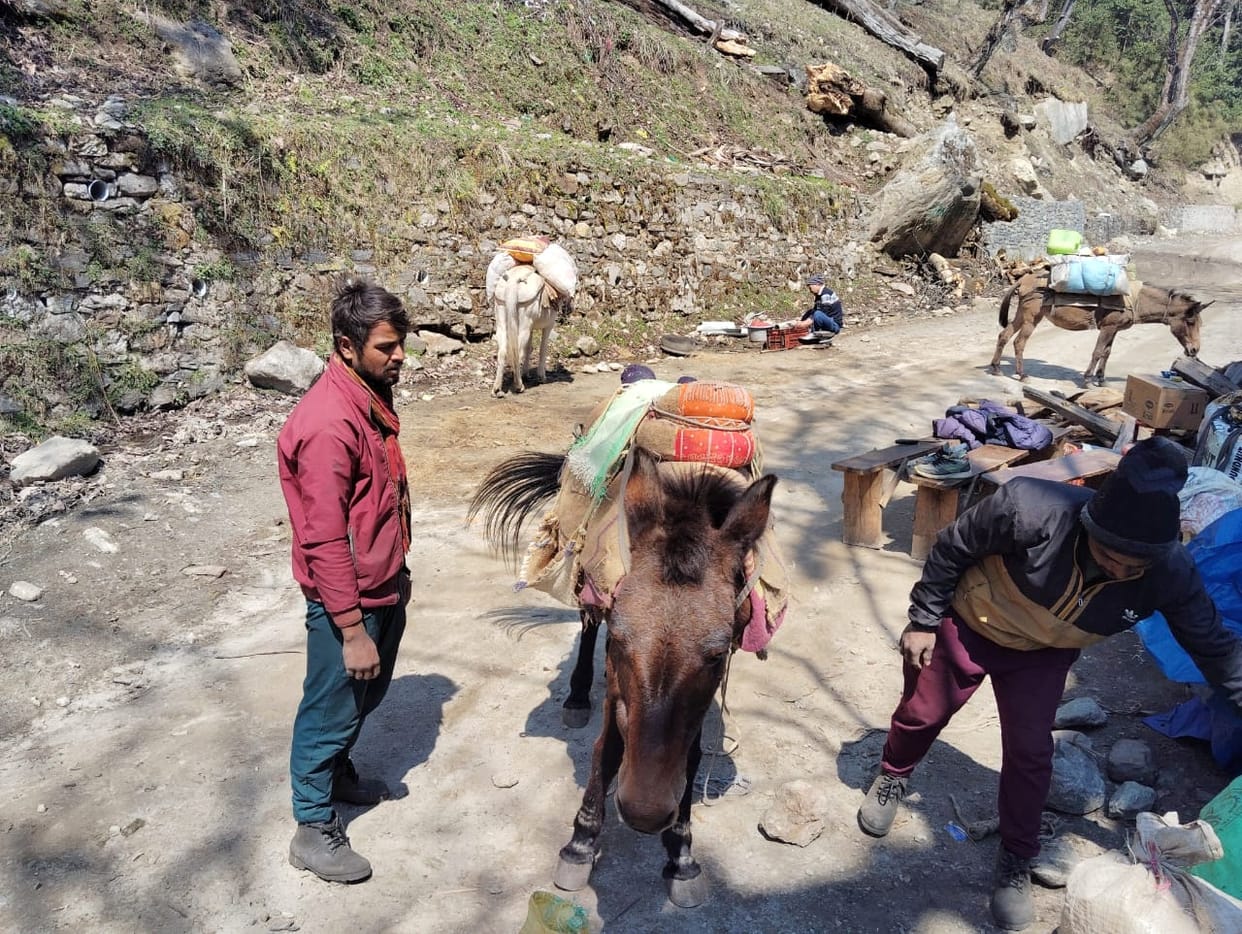People of Darma and Vyas valley have started returning to their homes
