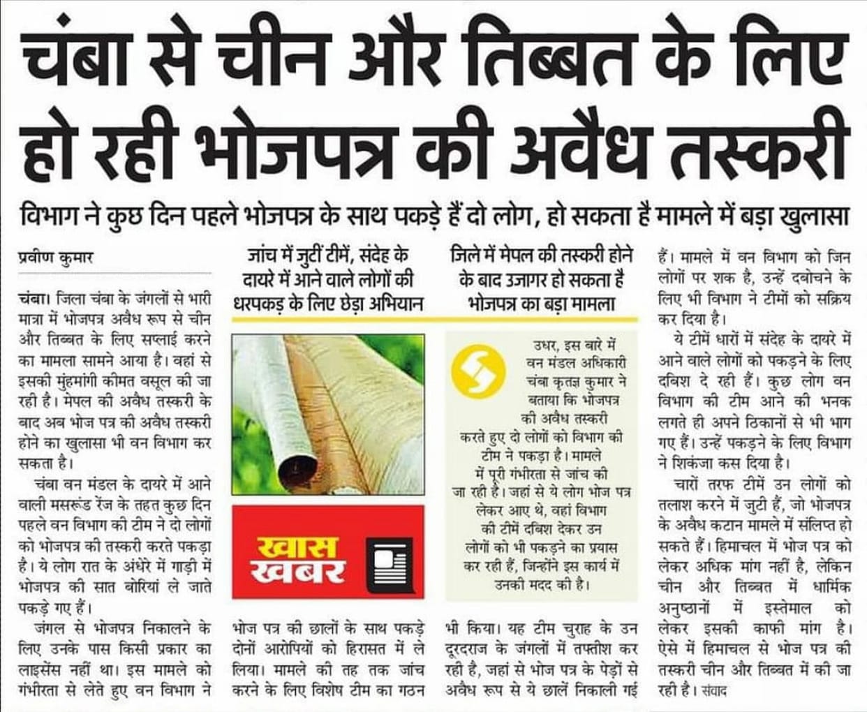 The team could not catch the main accused in the Bhojpatra smuggling case