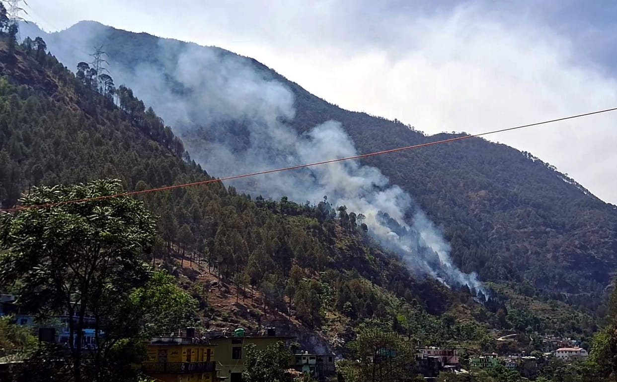 Young man setting fire in forest arrested, sent to jail
