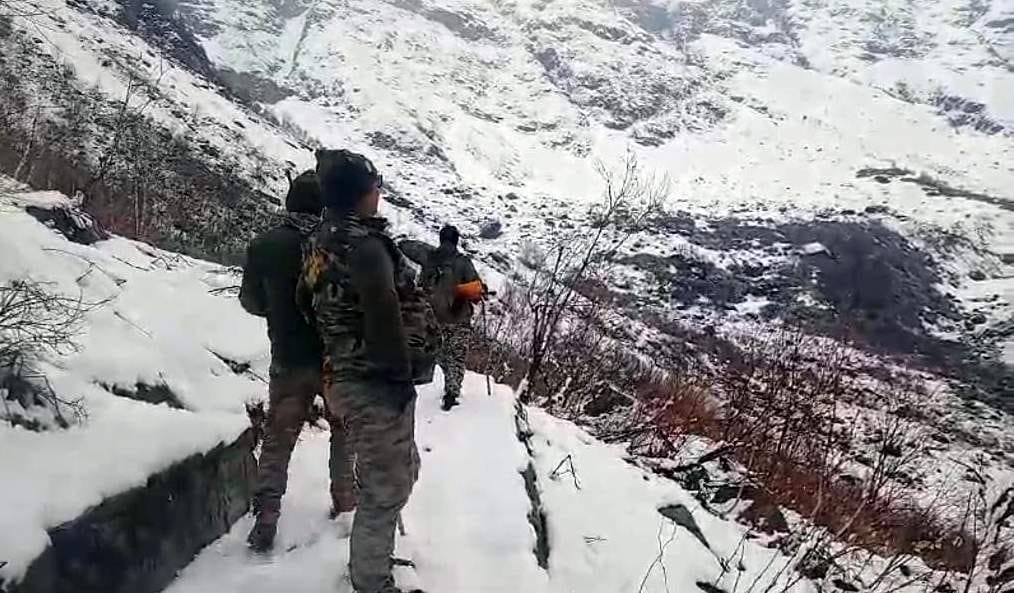 The team inspected the valley of flowers amidst snowfall
