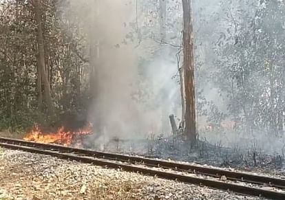 Katarniya forest is burning, wildlife is in distress