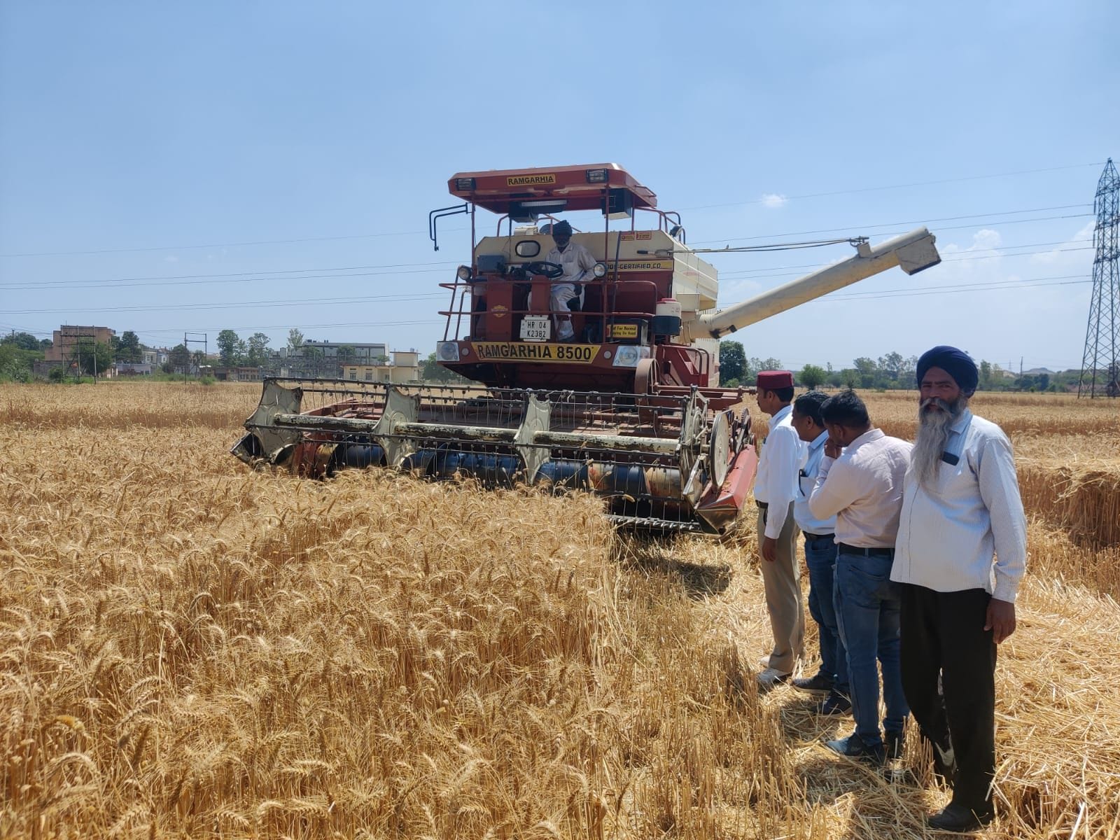 Agriculture Department prepared this year

New variety of wheat HD 3086