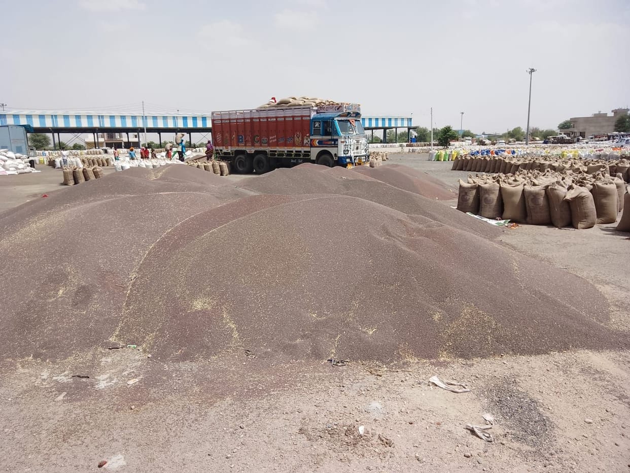 Due to shortage of gunny bags, lifting slowed down, farmers worried