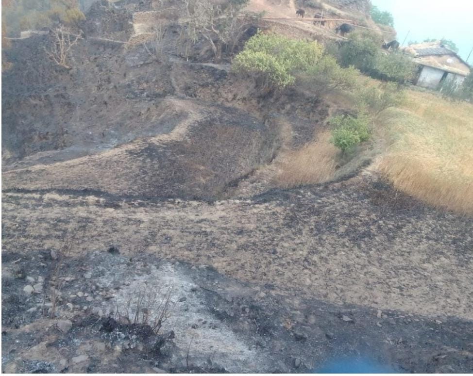 Crops growing on land in 12 drains burnt due to forest fire in Pati
