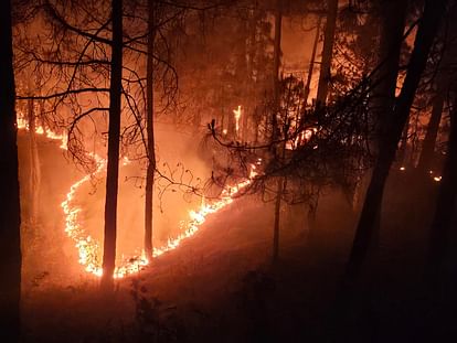 Chambal ravines kept burning till night wildlife ran to save their lives