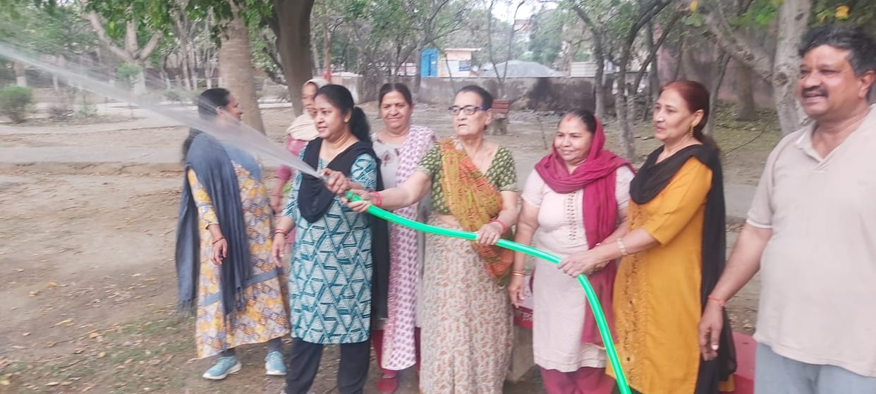 Nehru Park moving towards greenery