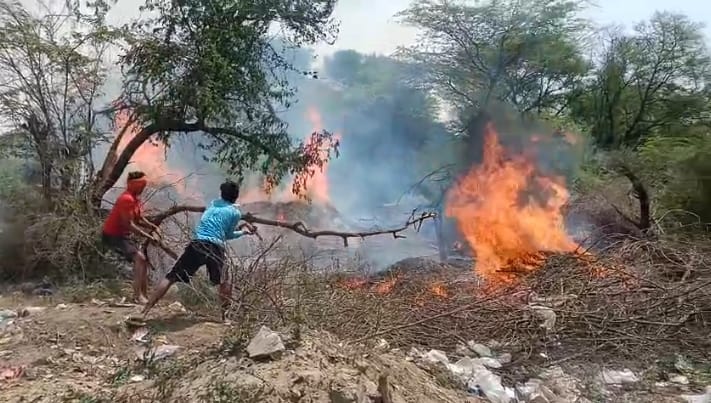 Fuel and bitter burnt ashes from the fire at three places