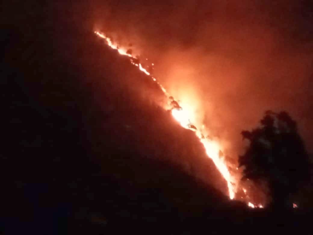 Forest fire reached the population and college