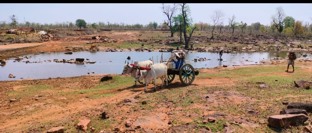 Damoh Farmers of Jarua village depend on one crop have spent several months in jail for water