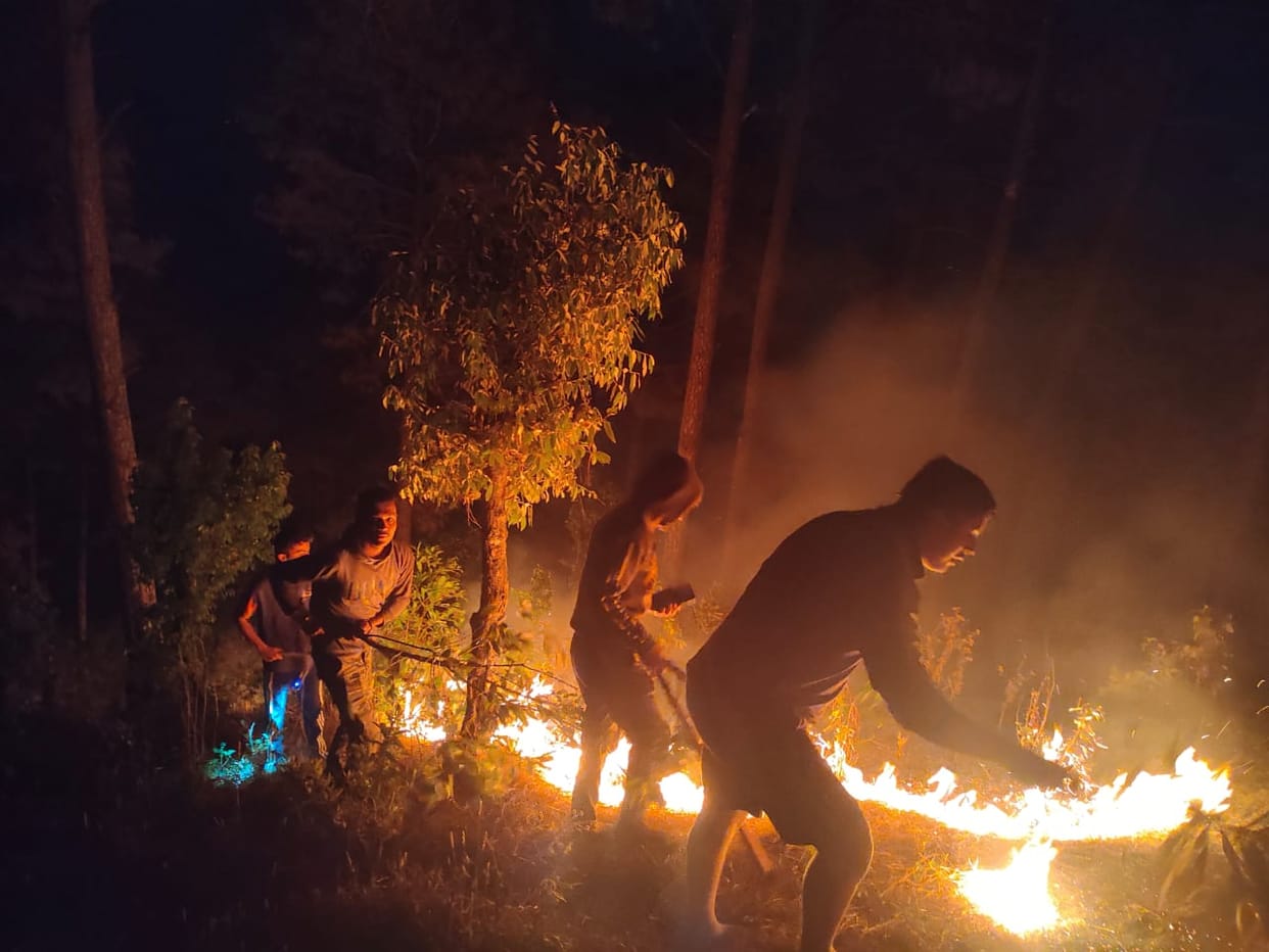 Forest workers and villagers trapped in forest fire saved their lives by running away
