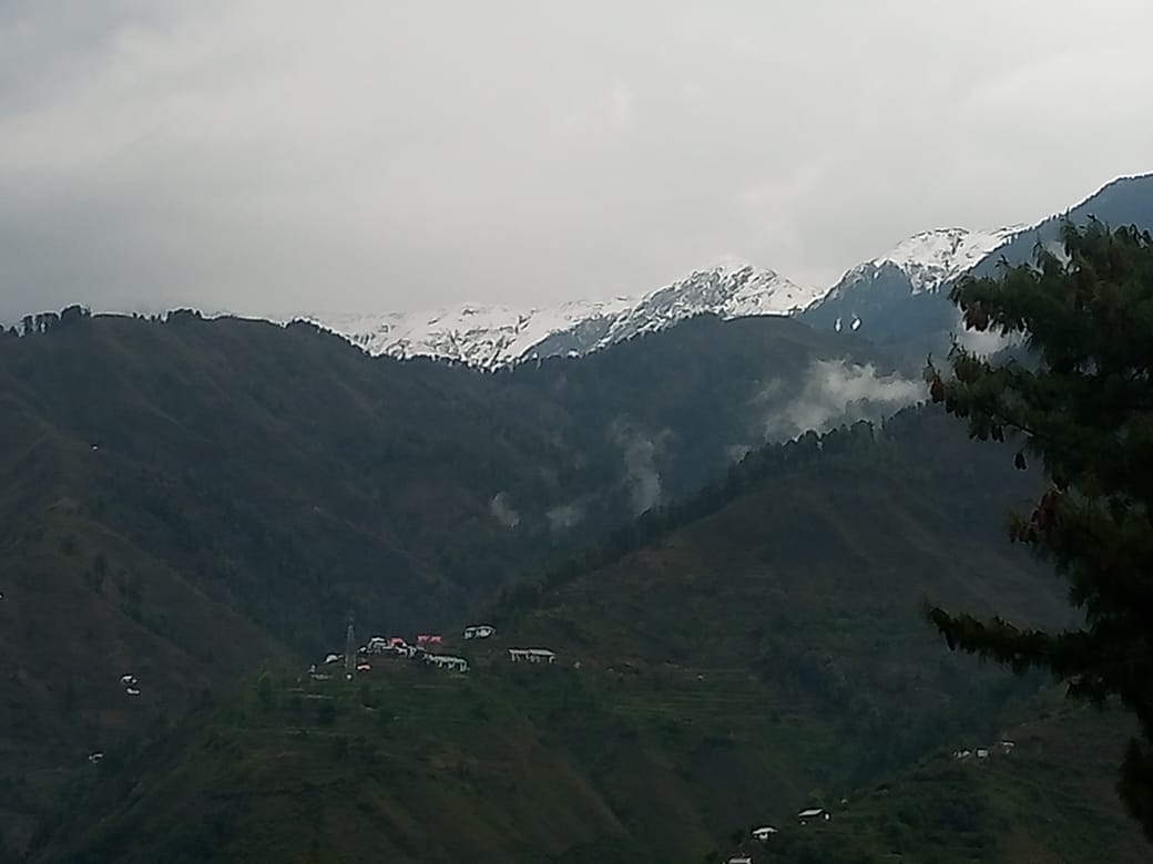 Snowfall in Kihar peaks, cold increased due to rain in lower areas