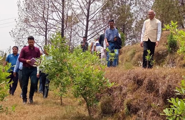 Central officials inspected the silk production project
