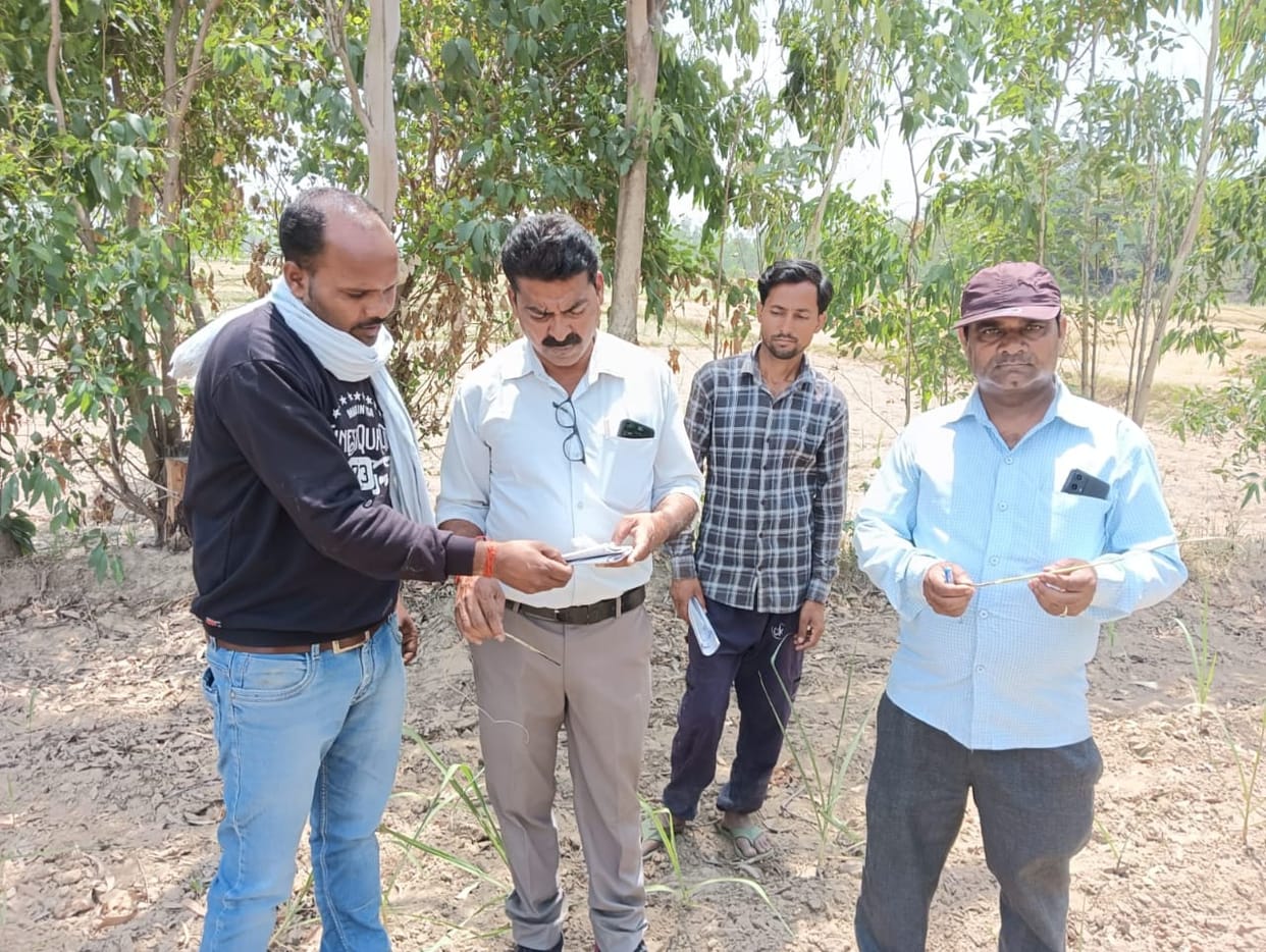 Farmers should remain on the spot during sugarcane survey