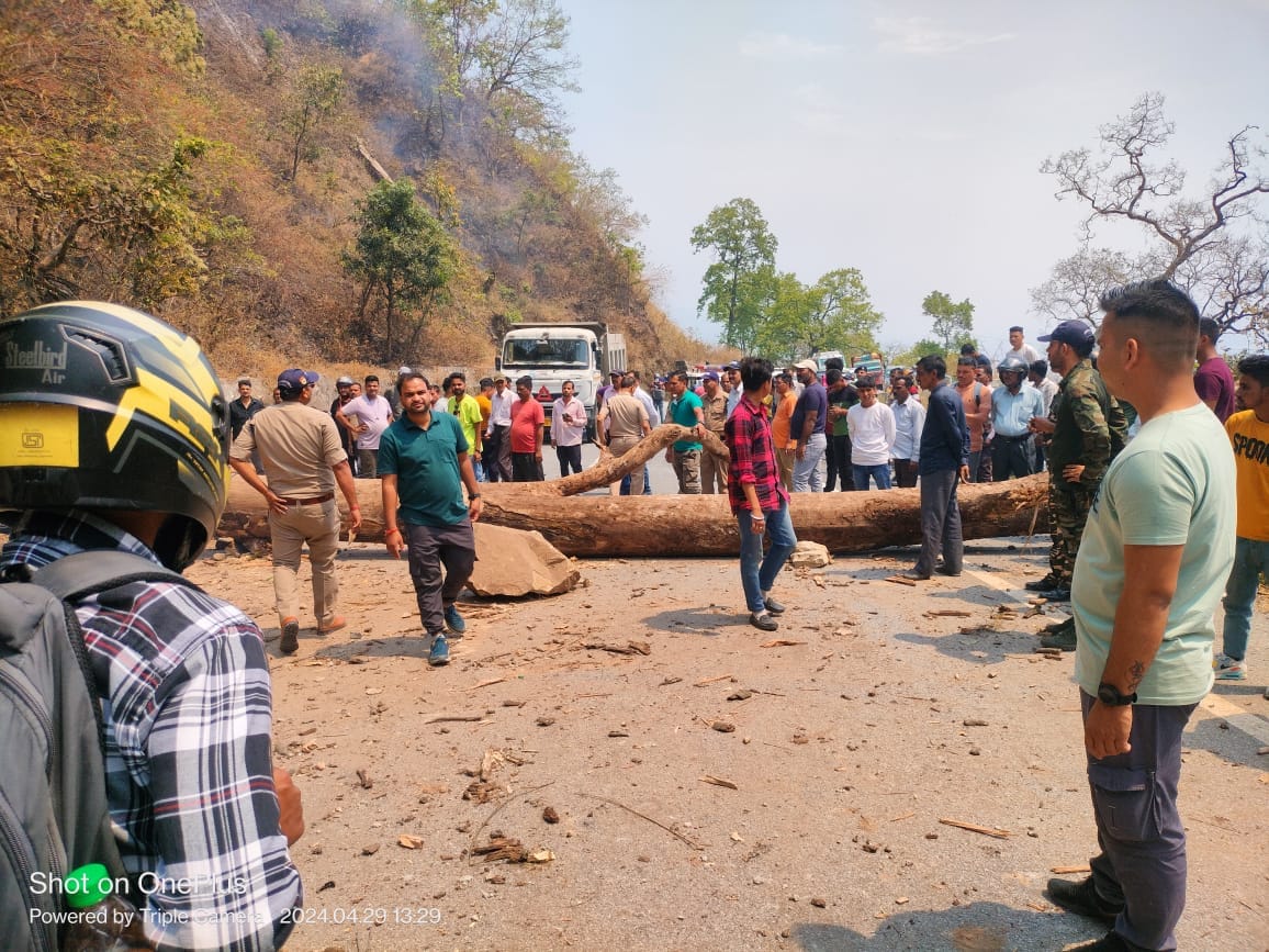 Burning tree fell on the highway, jammed for one and a half hour