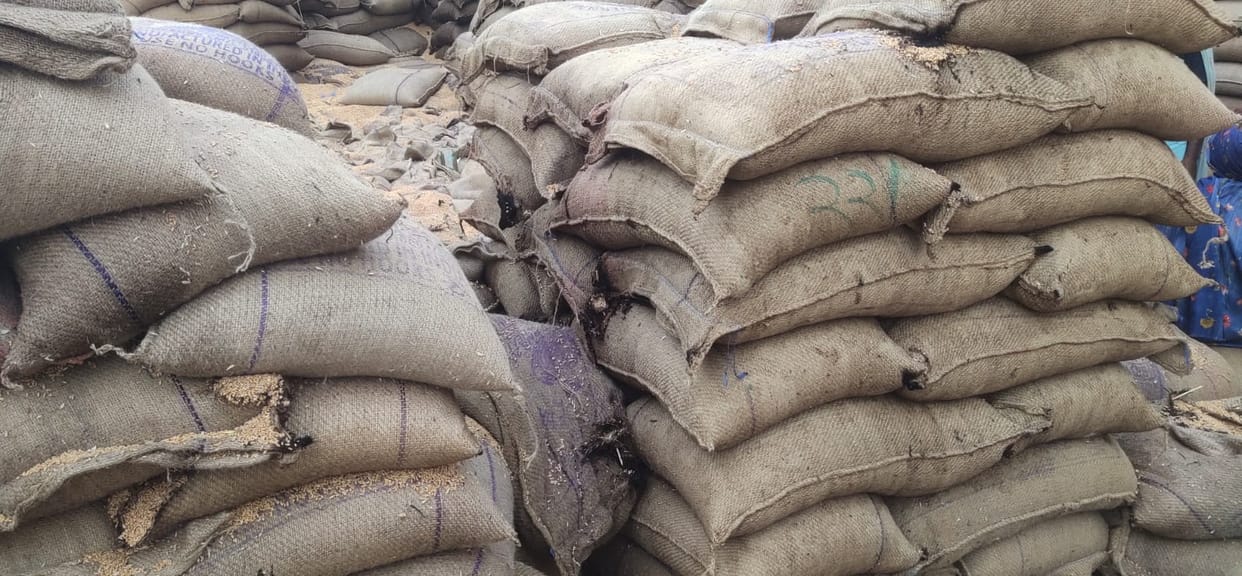 Weevil infested wheat supplied from Haryana