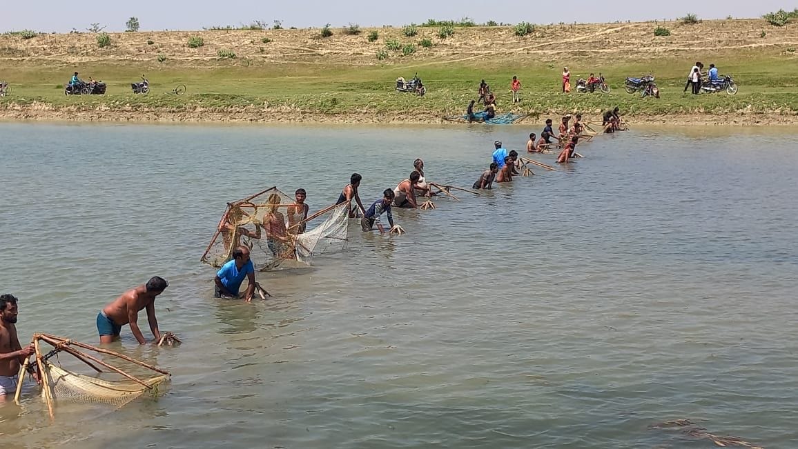 Department forgot to put seeds, poaching of fish is going on indiscriminately