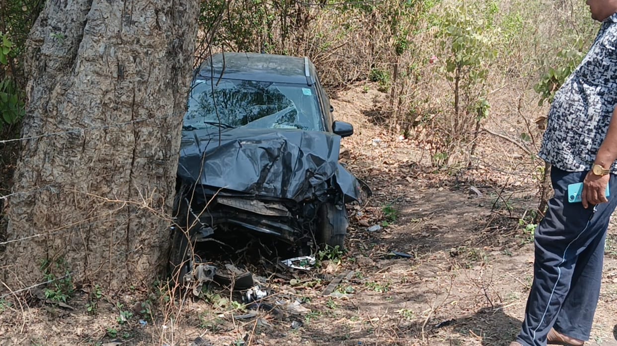 While trying to save cattle on Damoh Jabalpur Highway, a car collided with a tree
