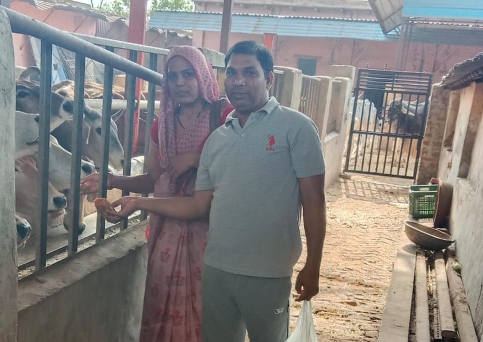 Celebrated wedding anniversary by serving cows