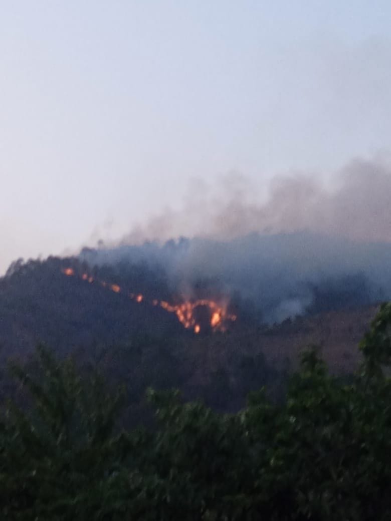 A massive fire broke out in the forest near Dunagiri temple.
