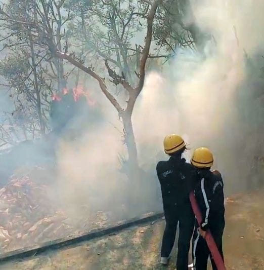 12 bales of grass burnt in fire in Chaugaonchhina