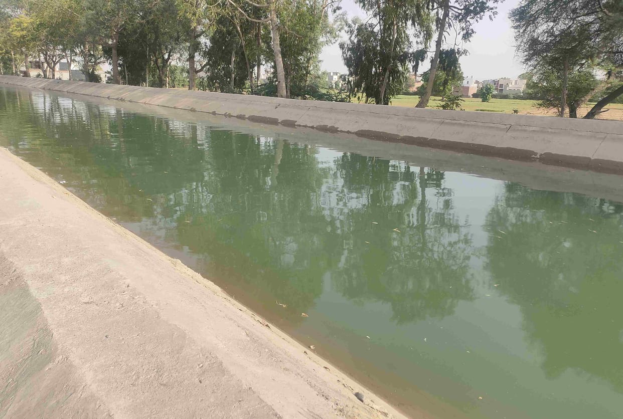 Released some water in Balsamand Canal for city's water bodies