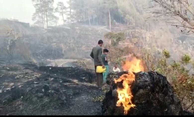 The forests of Barakot and Lohaghat burnt to ashes.