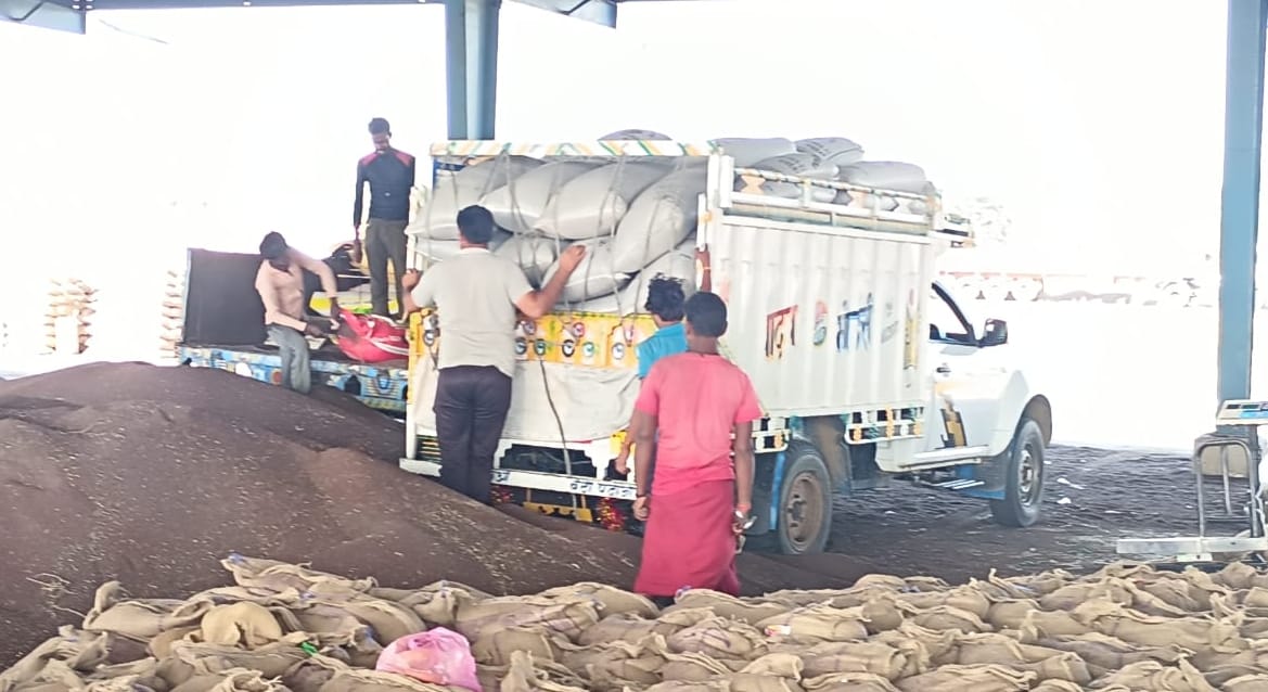 Schedule released for mustard purchase in Kanina Mandi