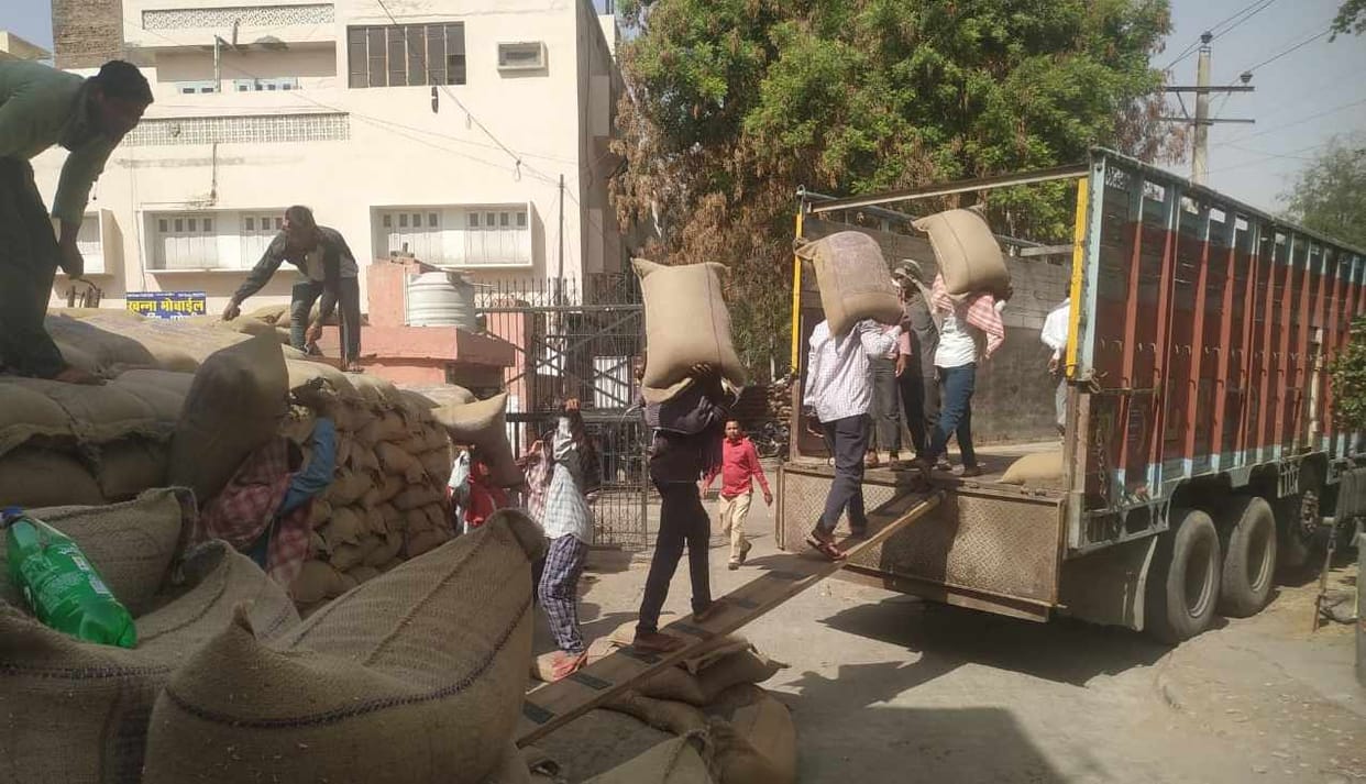 As arrivals decreased, lifting increased, 61.85 percent wheat reached warehouses