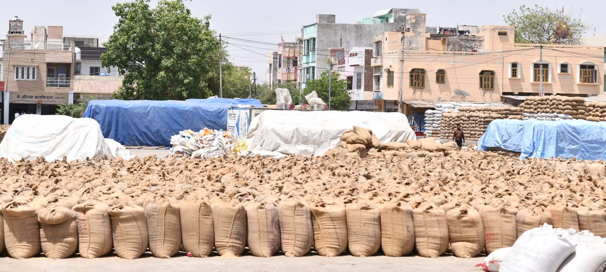 Mustard will be purchased from deprived farmers at government prices on May 1st also.