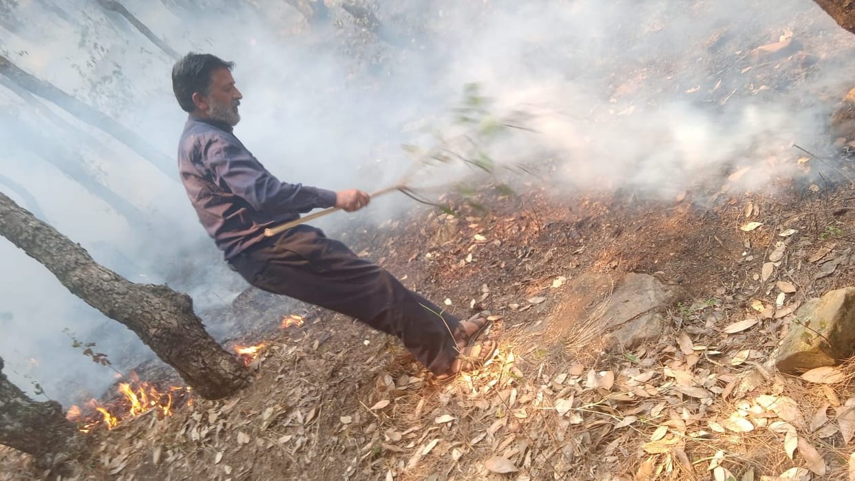 Fire broke out in the forest of Kanda Punetha and Takadi of Siloni