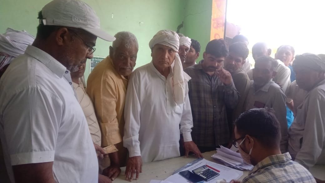 Seed distribution started on grant basis