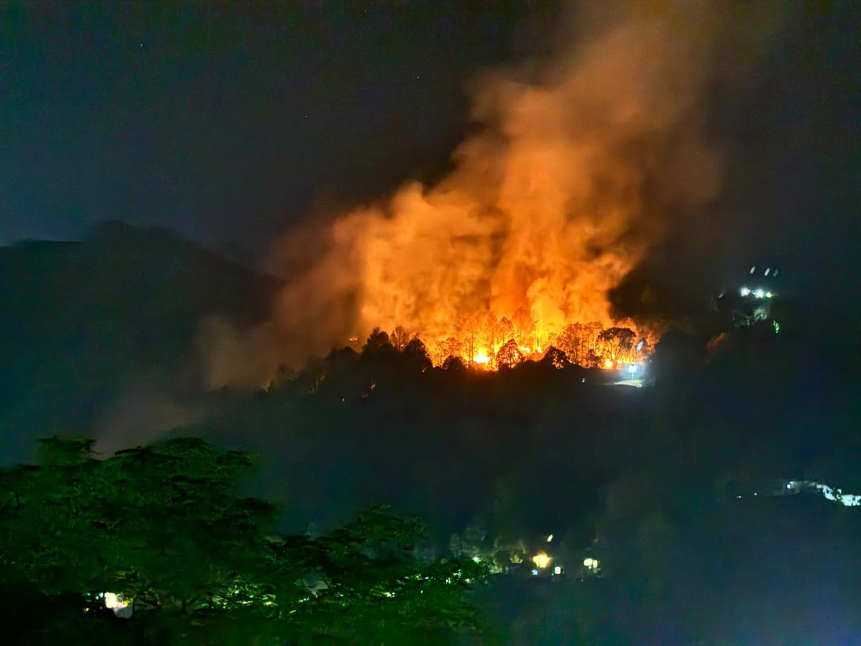 Two houses damaged due to forest fire in Okhalakanda