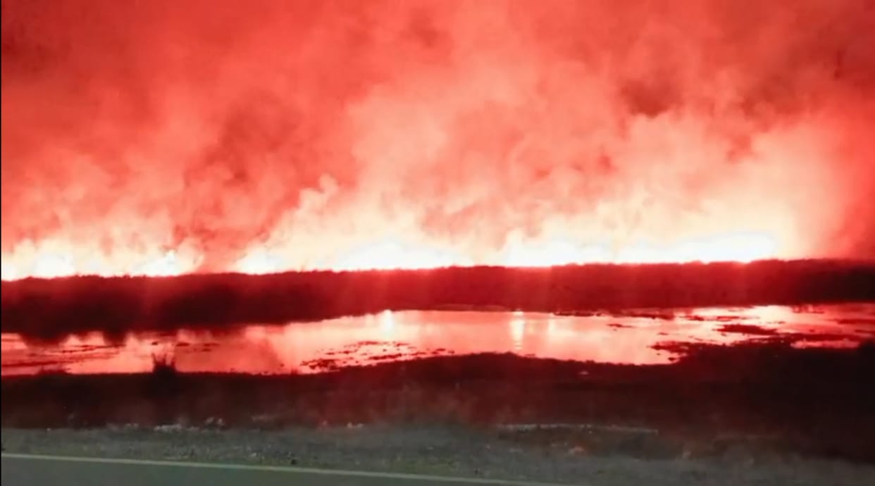 Seven goats were burnt alive, two cattle and a youth were seriously injured in the fire.