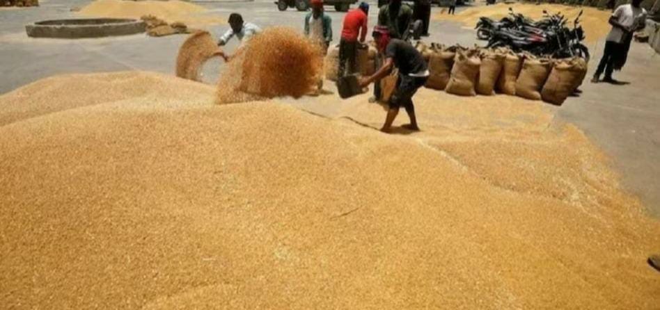 Labor Day is an opportunity to tell the importance of labour: Dr. Satish