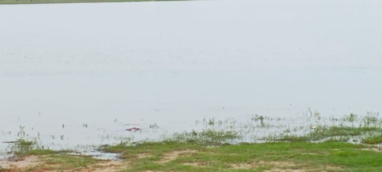 Encroachment took away the beauty of Pavdo Tal