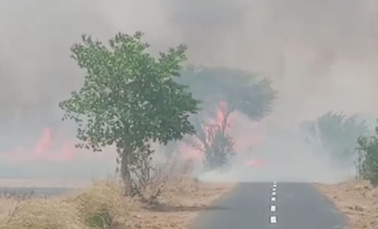 The fire that broke out in crop residues spread due to gust of wind, the fire department team brought it under control after seven hours.