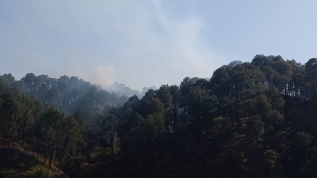 Fire breaks out in two pine forests of Bhoranj, forest wealth ashes