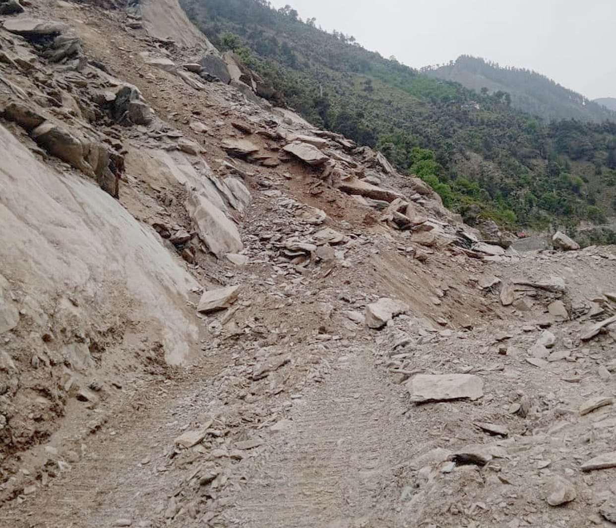 The department became helpless in front of the mountain, now the private company also lost courage.