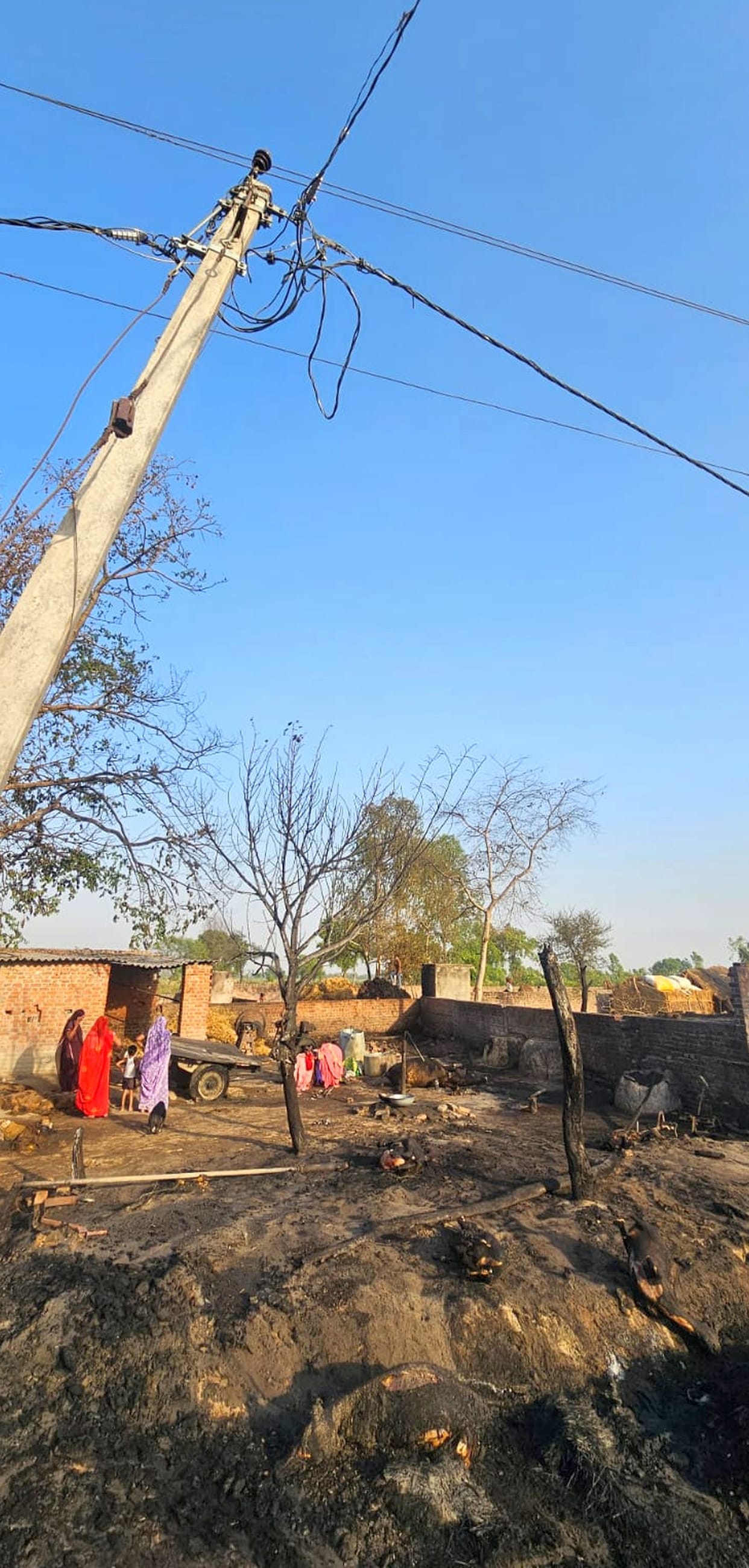 Four huts caught fire due to sparking, seven animals burnt alive